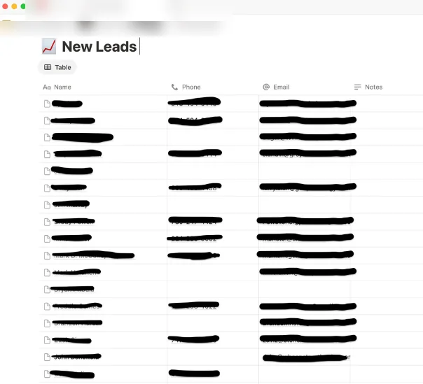 A client dashboard table of new leads with names, phone numbers and emails blacked out